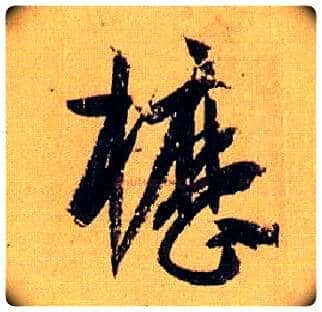 枥毛笔草书写法,摘自唐孙过庭书谱