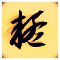 疑毛笔草书写法,摘自隋智永真草千字文