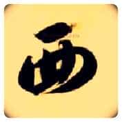 西毛笔草书写法,摘自隋智永真草千字文