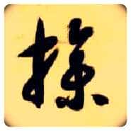 操毛笔草书写法,摘自隋智永真草千字文