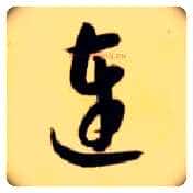 连毛笔草书写法,摘自隋智永真草千字文