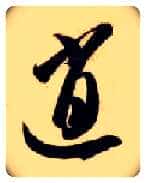 逍毛笔草书写法,摘自隋智永真草千字文