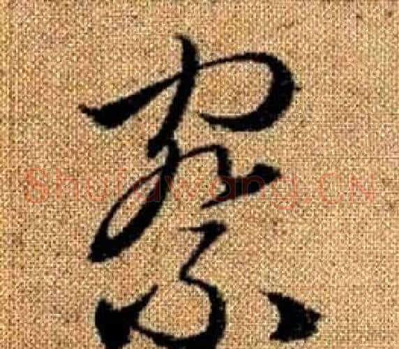 察字赵孟頫毛笔草书写法,摘自真草千字文