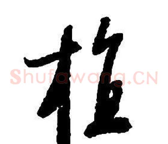 植字启功毛笔草书书法写法,摘自千字文