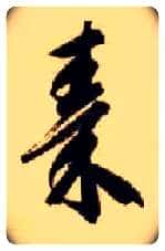 秦毛笔草书写法,摘自隋智永真草千字文
