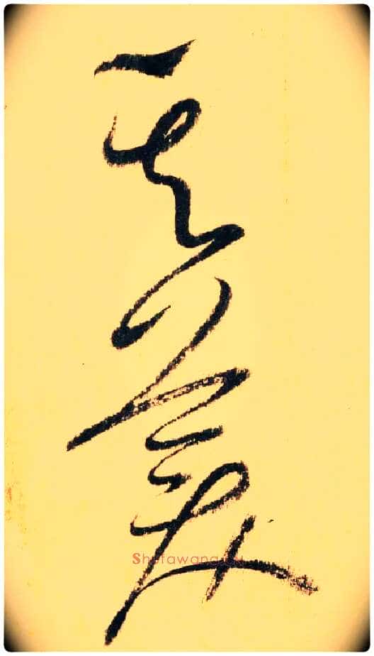 其 美毛笔草书写法,摘自唐怀素自叙帖