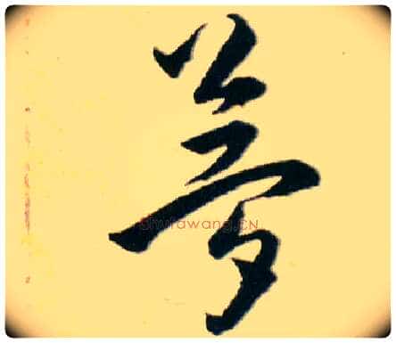 夢毛笔草书写法,摘自明韩道亨草诀百韵歌