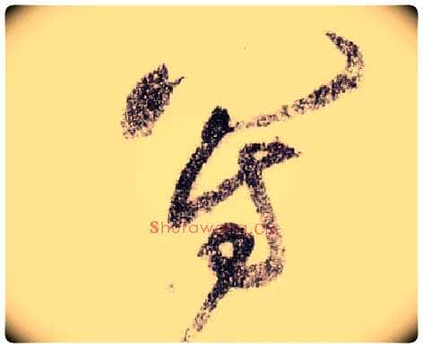 写毛笔草书写法,摘自宋黄庭坚李白忆旧游诗卷