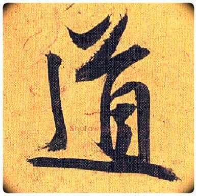 道毛笔草书写法,摘自明祝允明行草归田赋乐志论