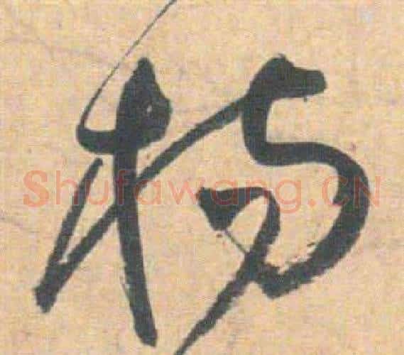 楊字祝枝山毛笔草书书法写法,摘自云江记