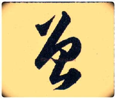 曾毛笔草书写法,摘自明韩道亨草诀百韵歌