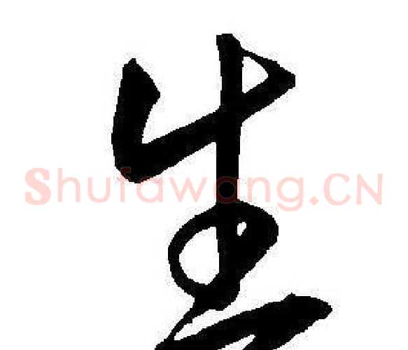 生字王宠毛笔草书书法写法,摘自王宠毛笔草书书法作品
