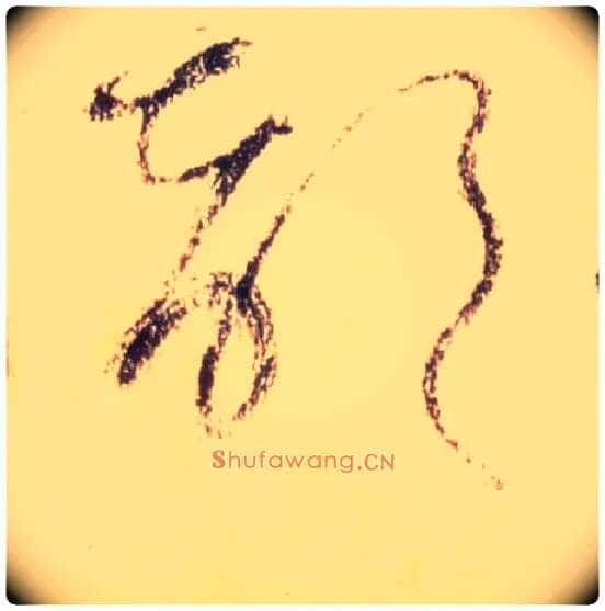 部毛笔草书写法,摘自唐怀素自叙帖