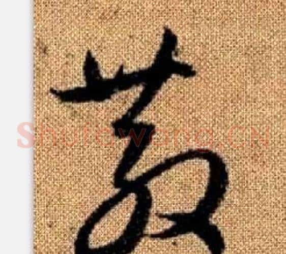 散字赵孟頫毛笔草书写法,摘自真草千字文