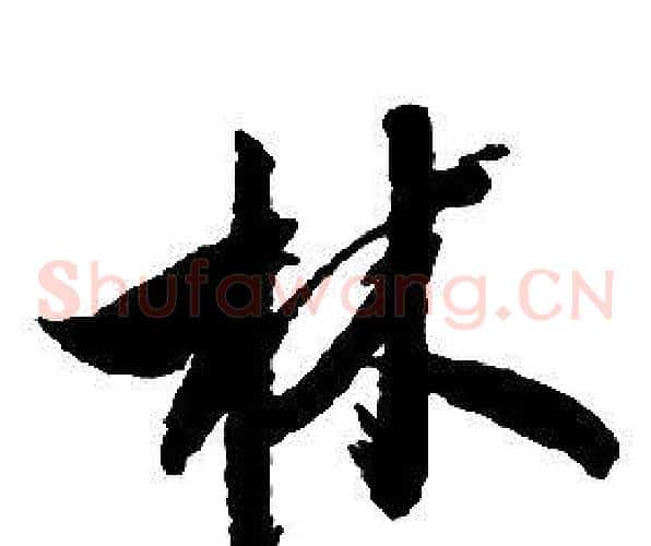林字启功毛笔草书书法写法,摘自千字文