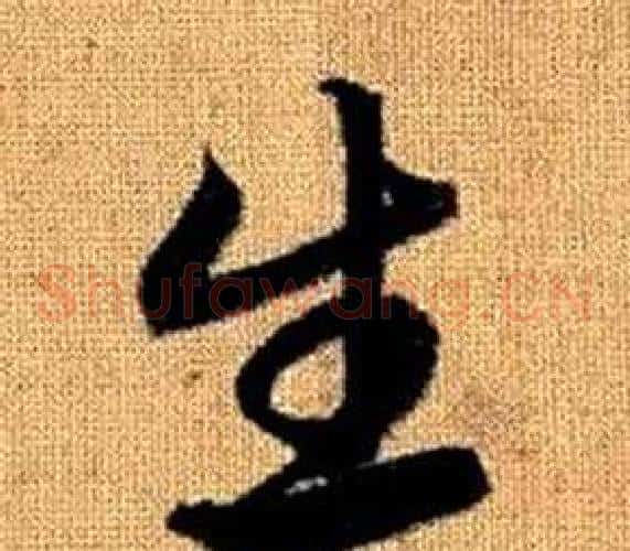 生字赵孟頫毛笔草书写法,摘自真草千字文