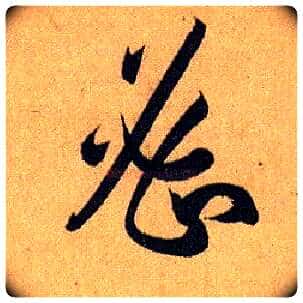 密毛笔草书写法,摘自唐孙过庭书谱