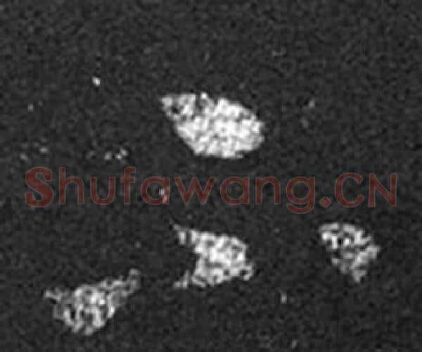不字王羲之毛笔草书写法,摘自十七帖