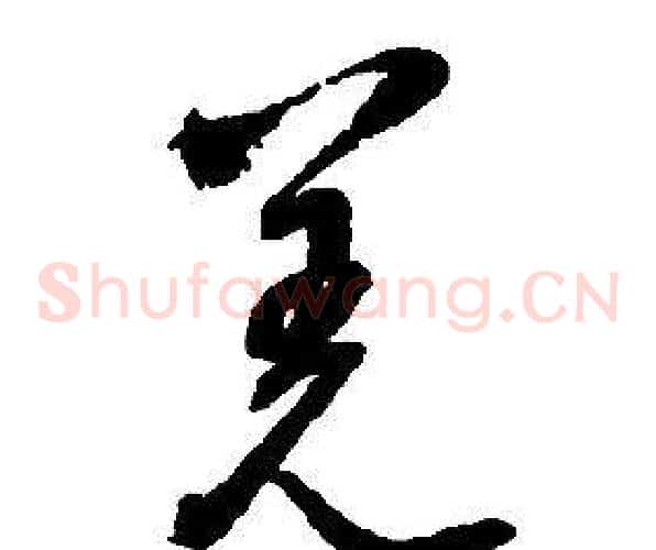 羌字启功毛笔草书书法写法,摘自千字文