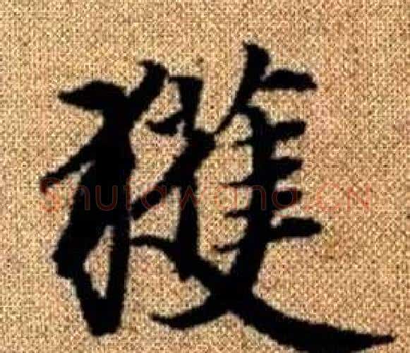 獲字王铎毛笔楷书书法写法,摘自真草千字文
