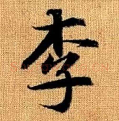 李字赵孟頫毛笔楷书写法,摘自真草千字文