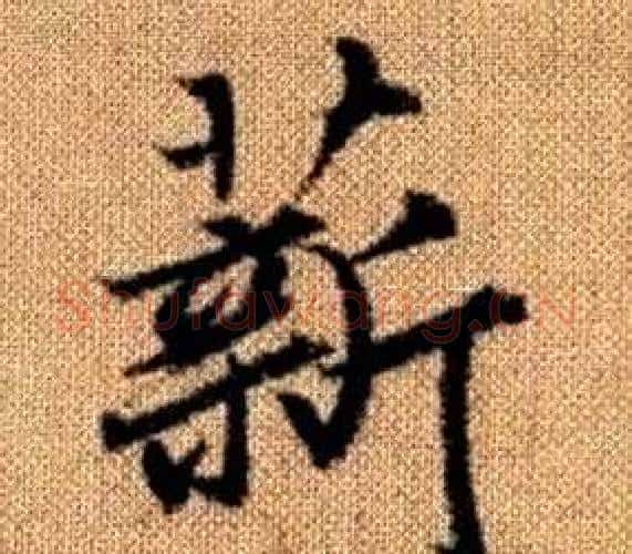 薪字赵孟頫毛笔楷书写法,摘自真草千字文