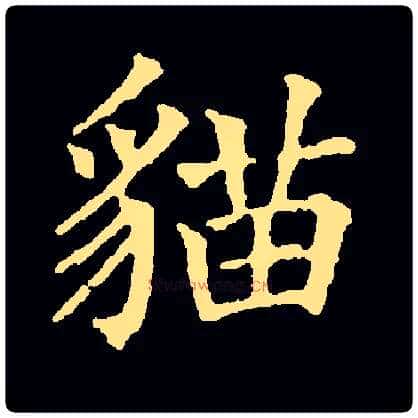 猫毛笔楷书写法,摘自常用字