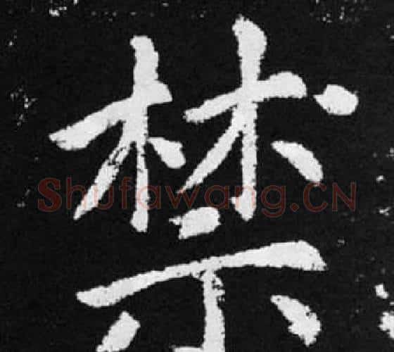 禁字王铎毛笔楷书书法写法,摘自张留孙碑