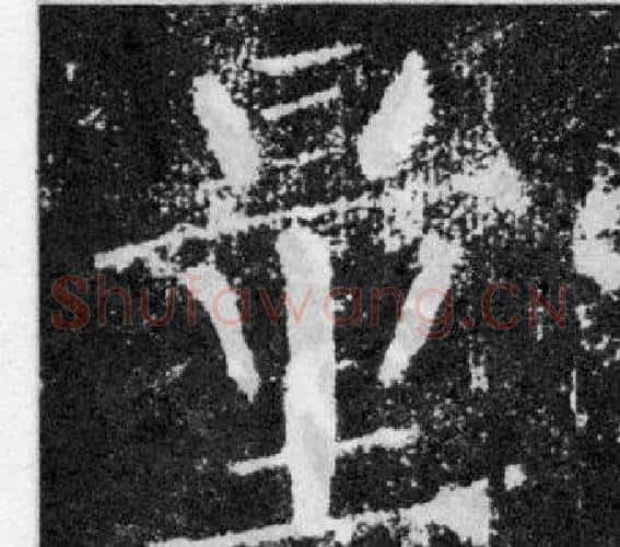 量字颜真卿毛笔楷书写法,摘自颜勤礼碑