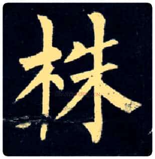株毛笔楷书写法,摘自唐柳公权玄秘塔碑