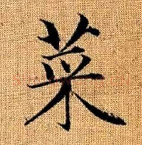 菜字赵孟頫毛笔楷书写法,摘自真草千字文