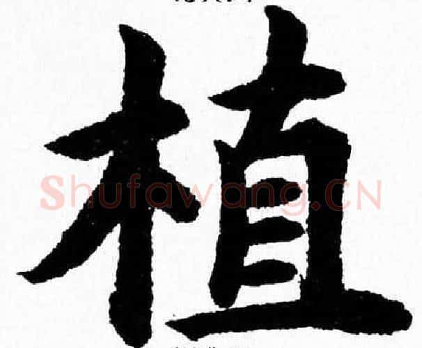 植字杨永健毛笔楷书书法写法,摘自杨永健毛笔楷书书法作品