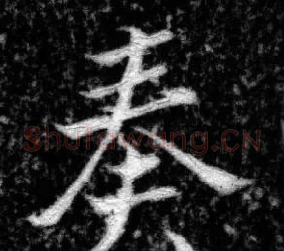 奏字张即之毛笔楷书书法写法,摘自王友度墓志