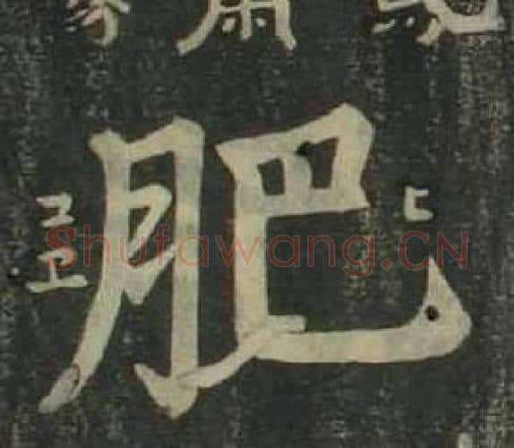 肥字姜立纲毛笔楷书书法写法,摘自四体千字文