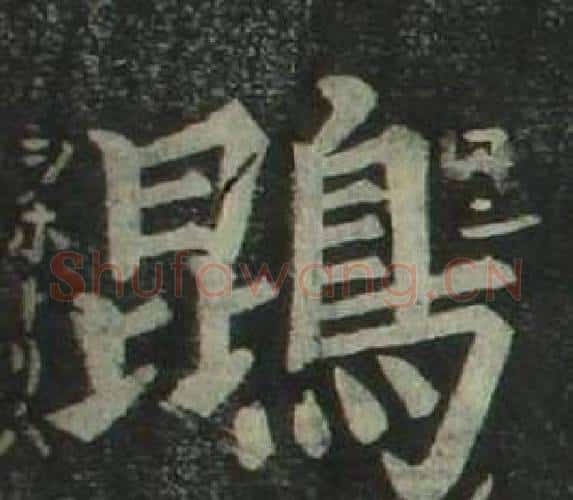 鵾字姜立纲毛笔楷书书法写法,摘自四体千字文