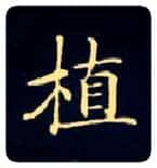 植毛笔楷书写法,摘自唐钟绍京灵飞经