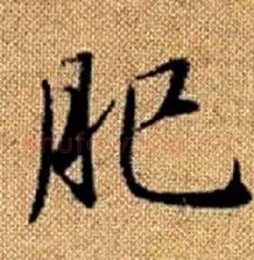 肥字赵孟頫毛笔楷书写法,摘自真草千字文
