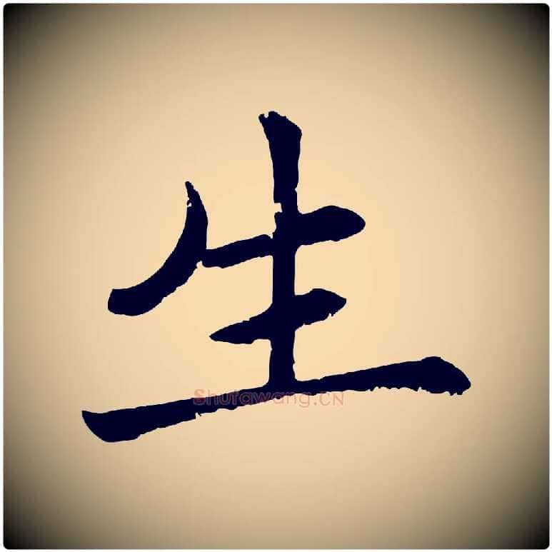 生毛笔楷书写法,摘自元代赵孟頫卫淑媛墓志