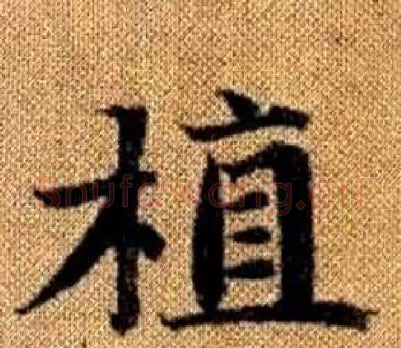 植字赵孟頫毛笔楷书写法,摘自真草千字文