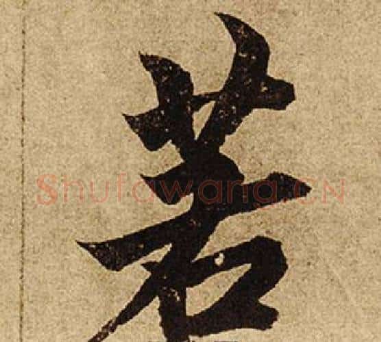 若字柯九思毛笔楷书书法写法,摘自老人星赋