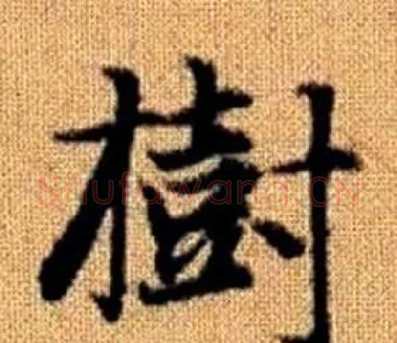 樹字王铎毛笔楷书书法写法,摘自真草千字文