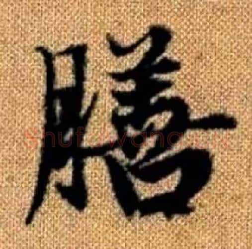 膳字赵孟頫毛笔楷书写法,摘自真草千字文