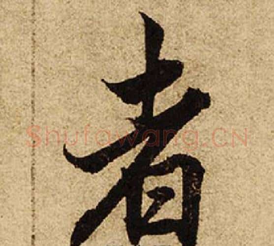 者字柯九思毛笔楷书书法写法,摘自老人星赋