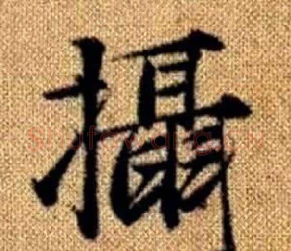 攝字赵孟頫毛笔楷书写法,摘自真草千字文