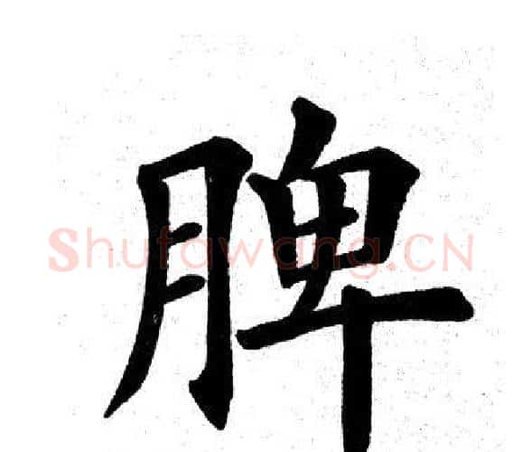 脾字田英章毛笔楷书书法写法,摘自田英章毛笔楷书书法作品