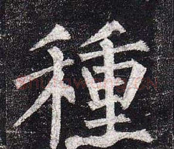 種字柳公权毛笔楷书书法写法,摘自玄秘塔碑