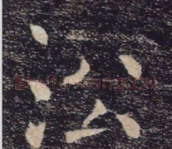 沿字褚遂良毛笔楷书书法写法,摘自雁塔圣教序
