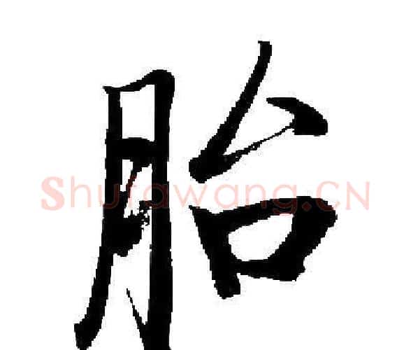 胎字启功毛笔楷书书法写法,摘自启功毛笔楷书书法作品