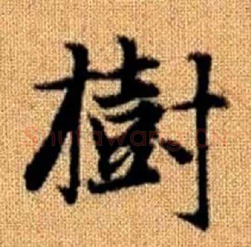 樹字赵孟頫毛笔楷书写法,摘自真草千字文