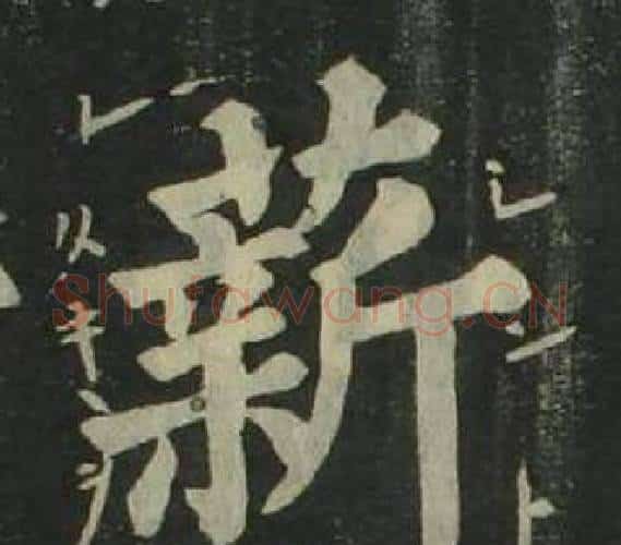薪字姜立纲毛笔楷书书法写法,摘自四体千字文